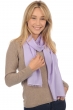 Cashmere & Silk accessories scarves mufflers scarva violet tulip 170x25cm